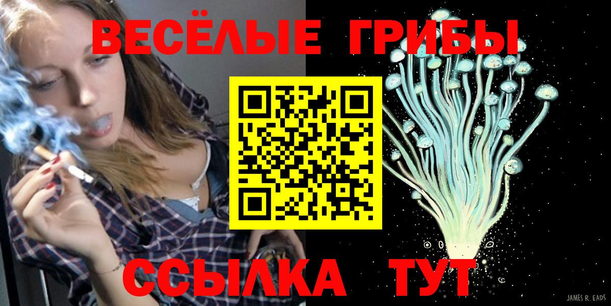 Галлюциногенные грибы мицелий  Вход с VPN  Сергиев Посад  Галлюциногенные грибы прущие грибы 
