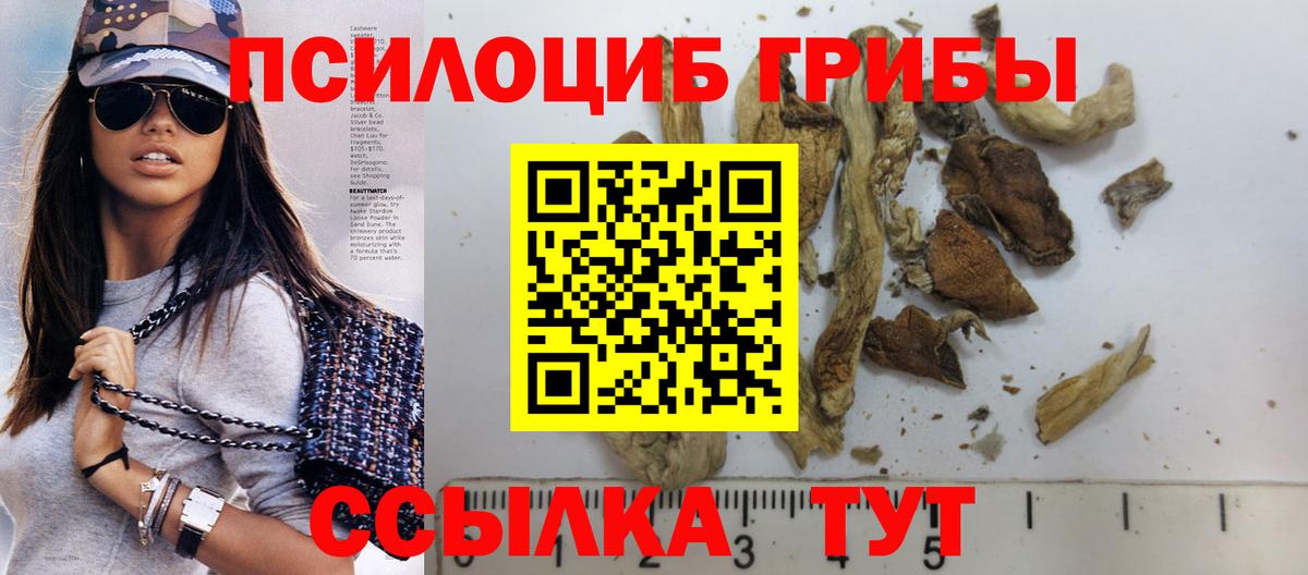 Галлюциногенные грибы мухоморы Сергиев Посад
